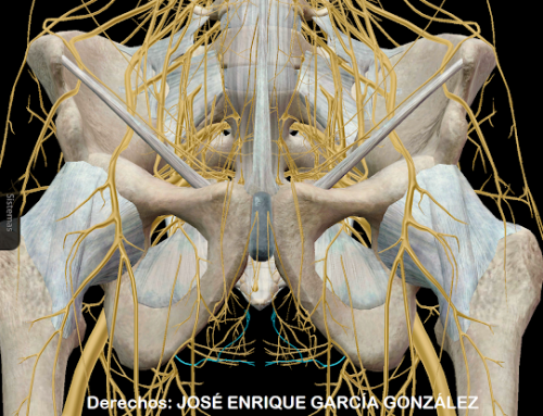 III seminario «abordaje osteopático en el S.A.N.P.» (ensayo clínico y evidencia científica)